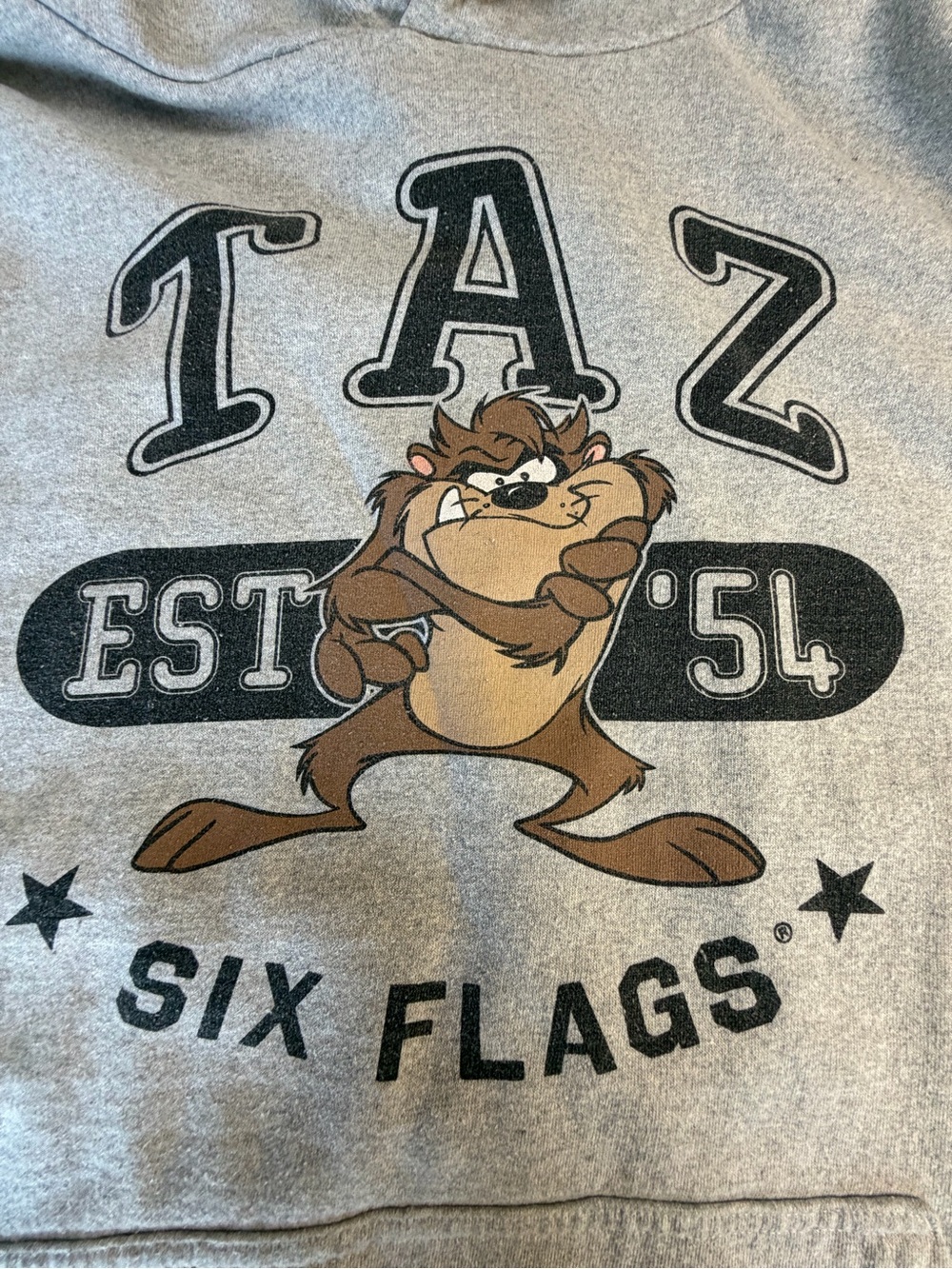 Warner Bros. TAZ Six Flags Pullover Hoodie - Gray with Maroon Lining Size Large - Picture 2 of 5